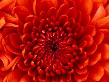 改革開放看工行丨工商銀行泉州分行深耕細作 加快“小微”到“普惠”的轉型