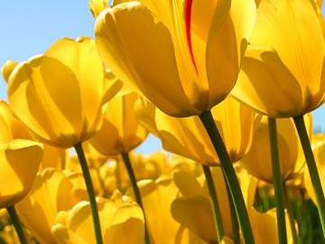 深化改革開放引領 加快打造幸福泉州